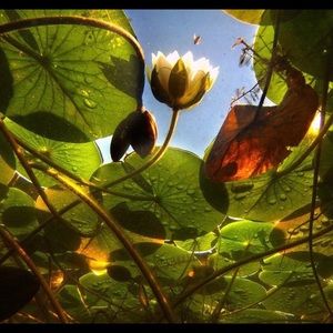 Meet your Posher, Mary :)